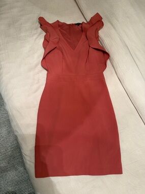 Express Coral Orange Ruffle Sheath Dress